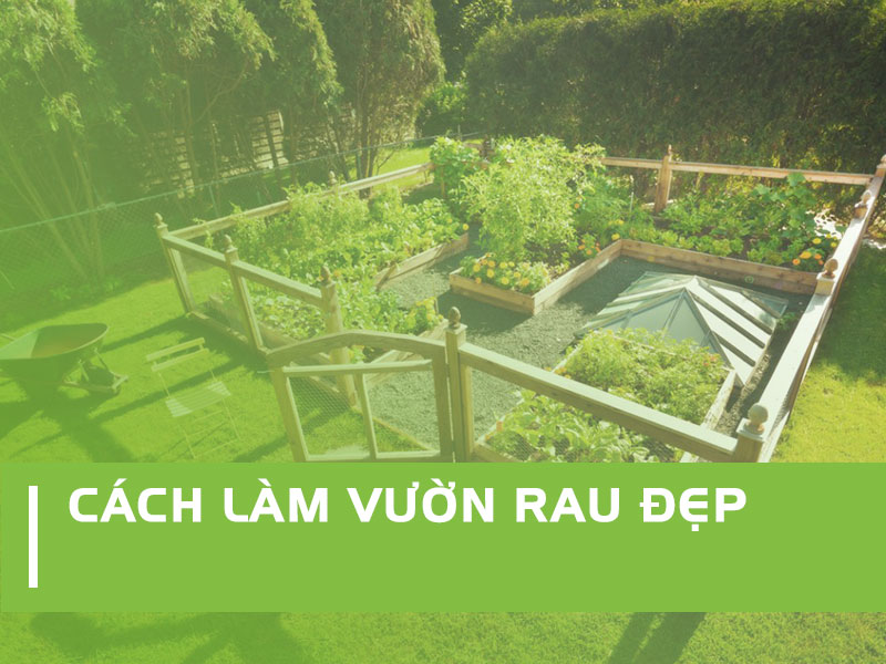 Kinh nghiệm làm vườn rau đẹp tại nhà lại đơn giản