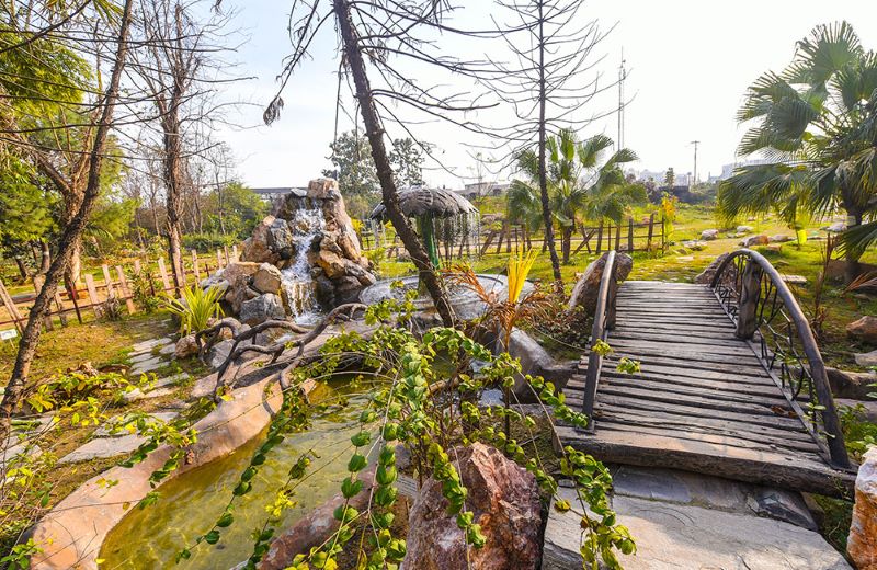 thiet ke homestay